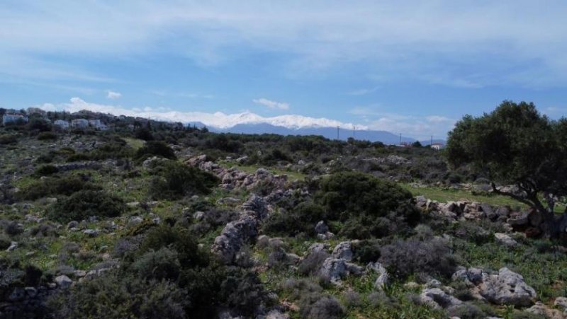 Kokkino Chorio Kreta, Kokkino Chorio: Malerisches Gelände mit Panoramablick aufs Meer zu verkaufen Grundstück kaufen